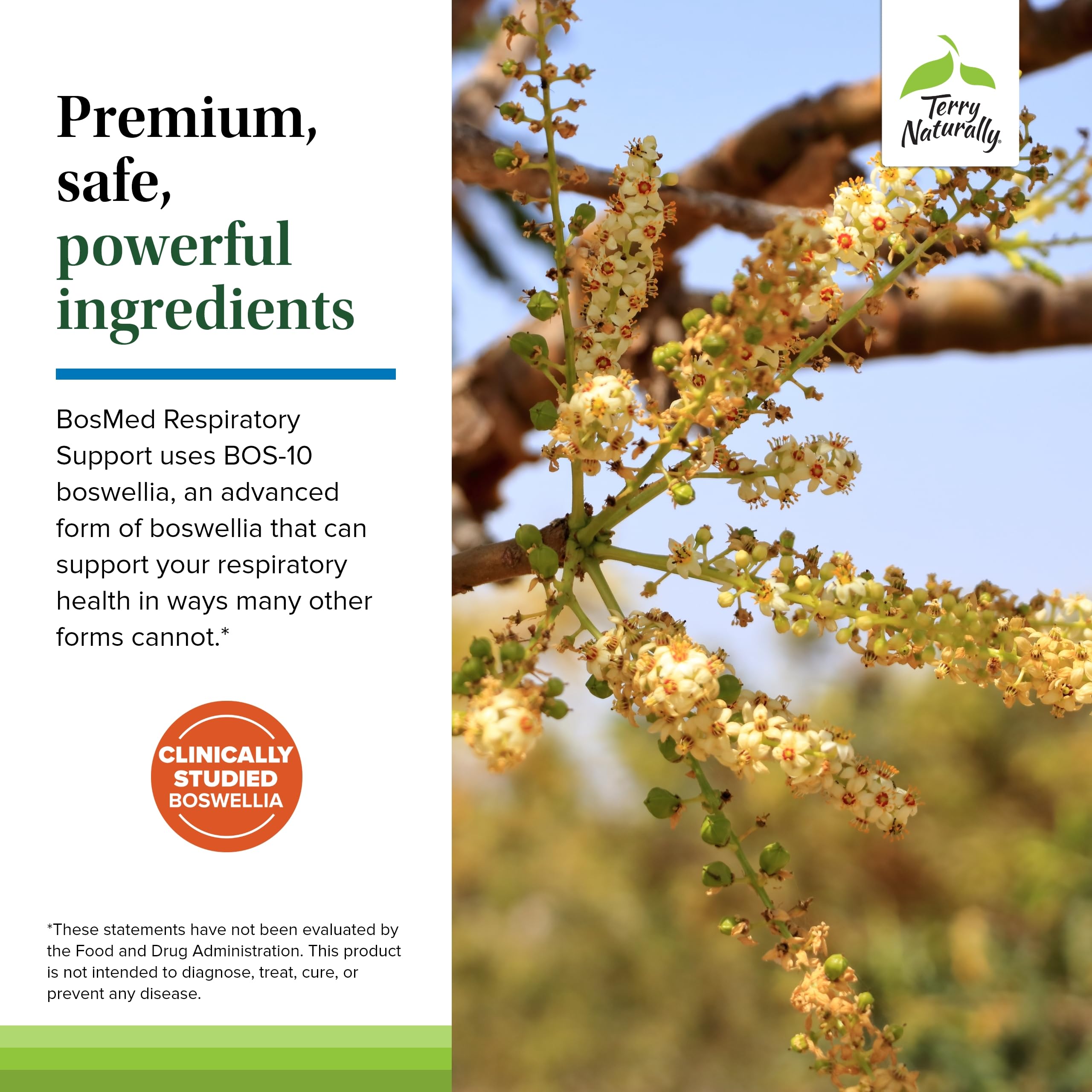 Terry Naturally BosMed softgel pour scene emphasizing measured dosage.