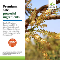 Terry Naturally BosMed softgel pour scene emphasizing measured dosage.