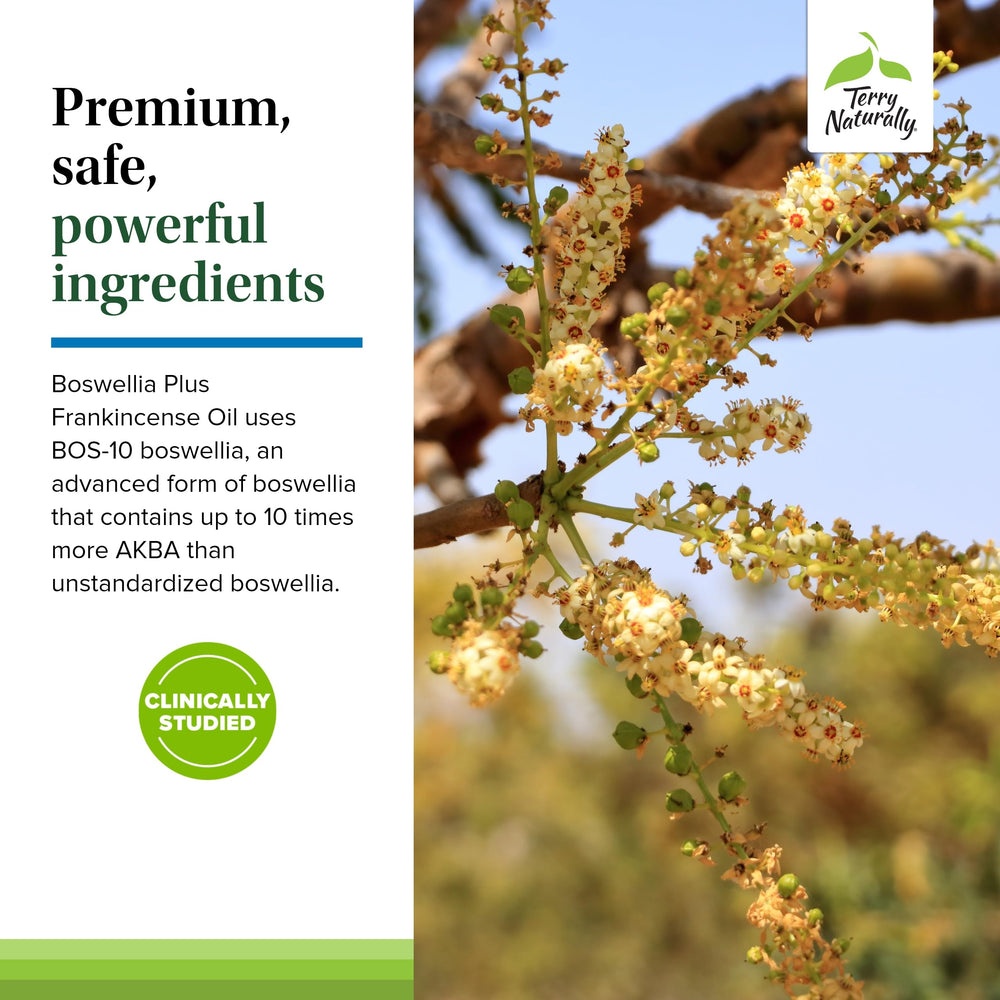 Terry Naturally Boswellia Plus Frankincense Oil concentrated image conveys full-spectrum benefits
