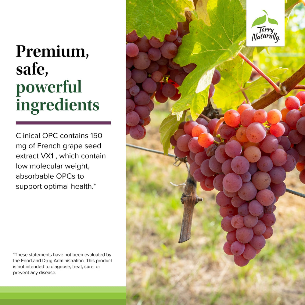Grape seed extract imagery signals potent antioxidants and broad cell-supporting potential.