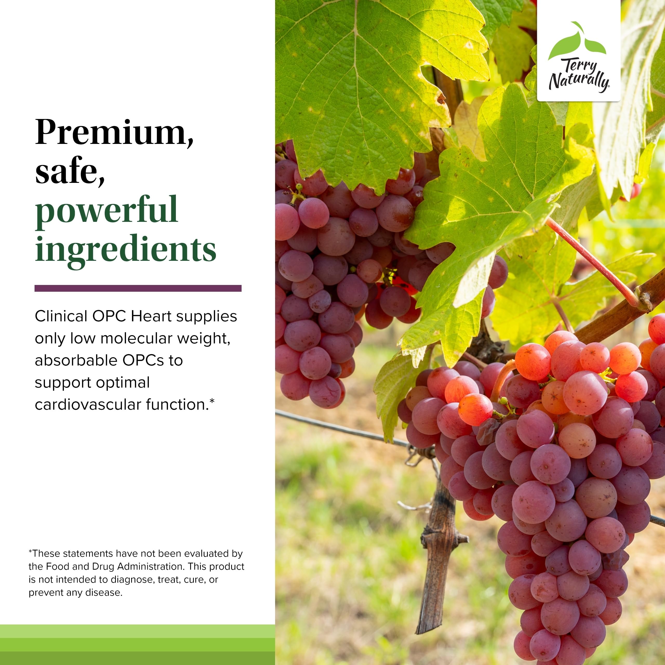 Terry Naturally OPC Heart magnesium tablet indicating mineral support