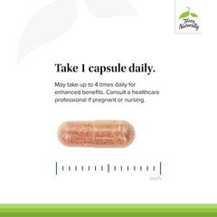 Sunflower lecithin ingredient visual emphasizes absorption-friendly formulation in Terry Naturally OPC.