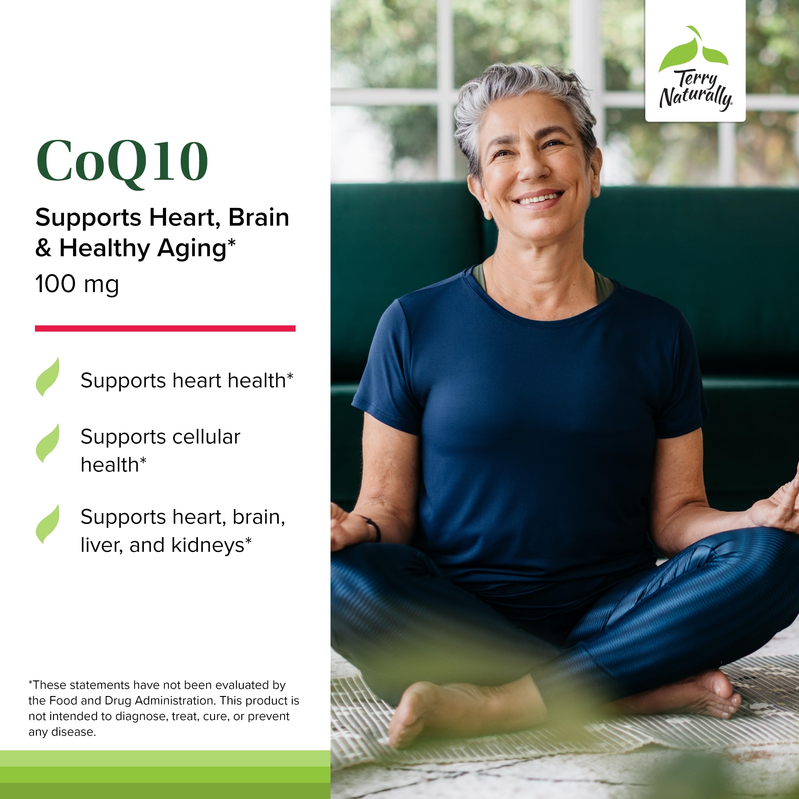 Packaging of Terry Naturally CoQ10 Chewables emphasizing vegan and allergen-friendly formula