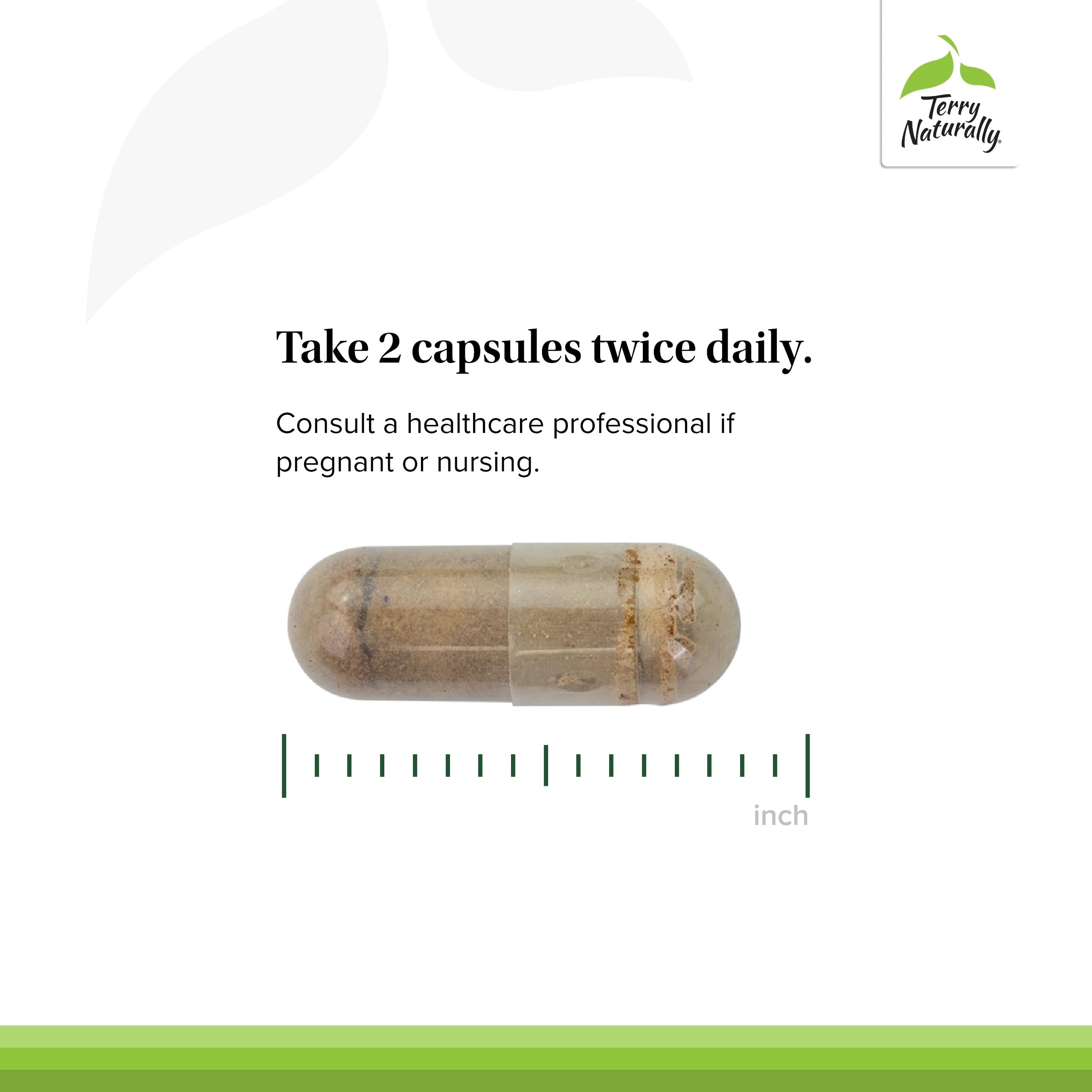 Capsules lined up to imply consistent daily energy and stamina support.