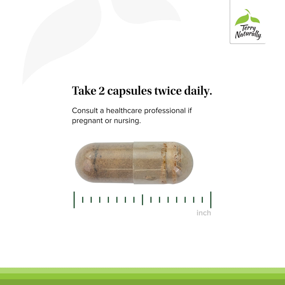 Capsules lined up to imply consistent daily energy and stamina support.