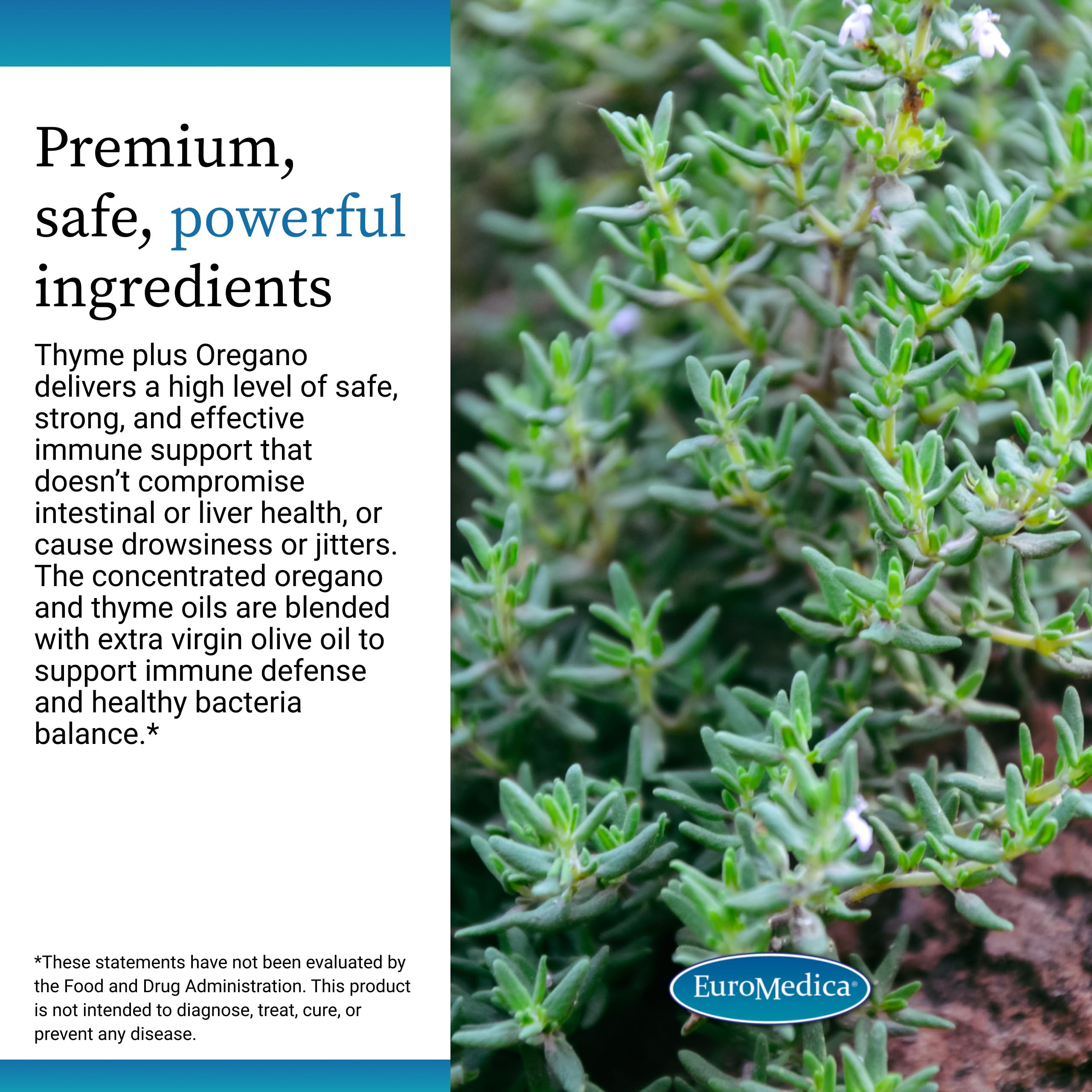 EuroMedica Thyme Plus Oregano softgels beside olive oil highlight natural carrier.