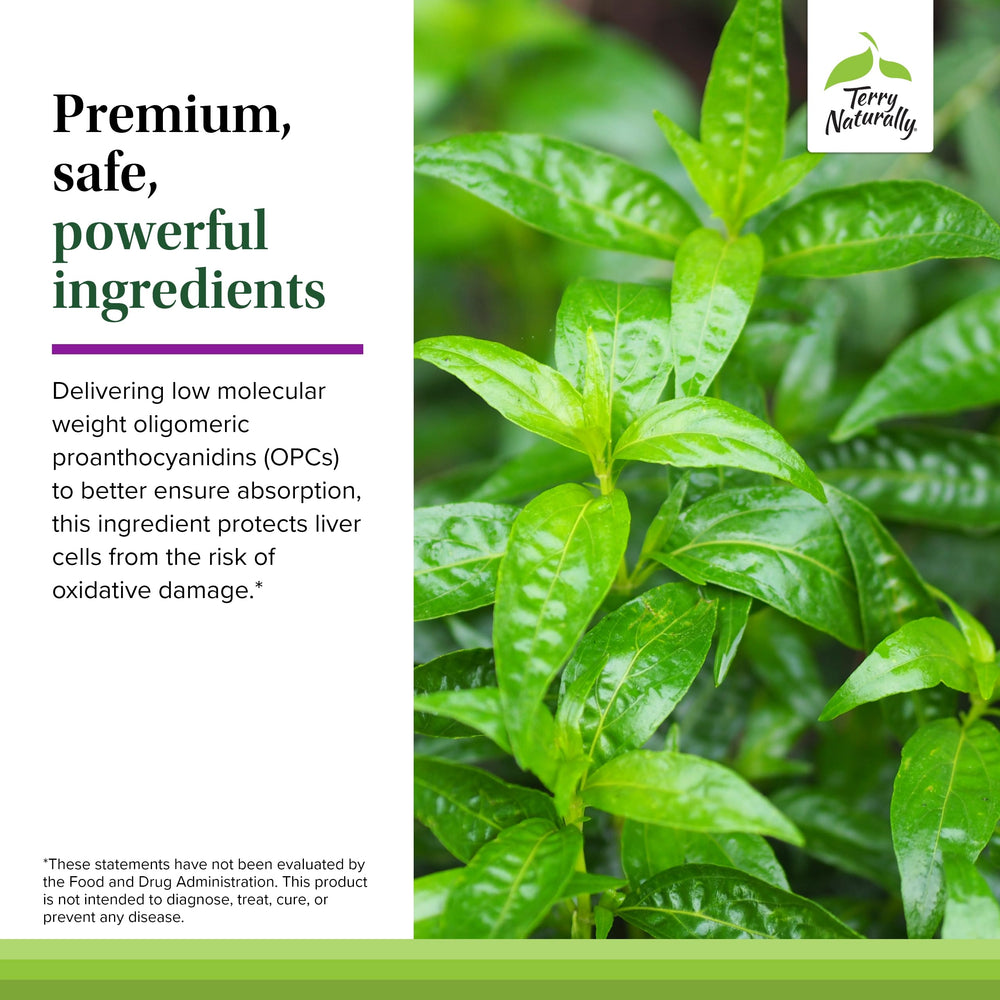 Gluten-free label on Terry Naturally dietary supplement packaging