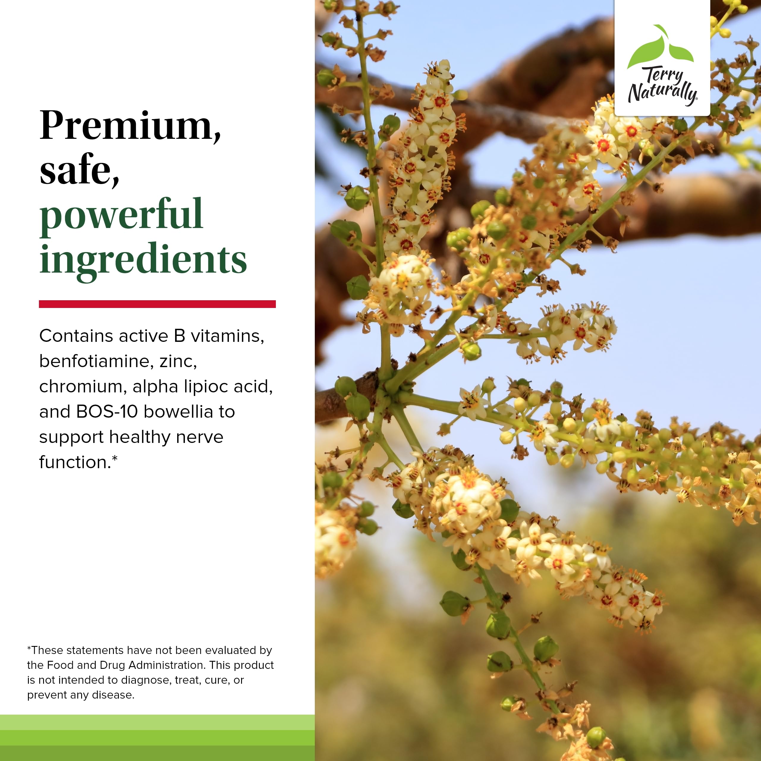 Graphic of 120-count vegan capsules indicating long-lasting daily nerve support.