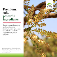 Terry Naturally ingredients panel featuring alpha-lipoic acid and B vitamins.