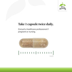 Milk thistle extract capsule from Terry Naturally highlighting liver health support