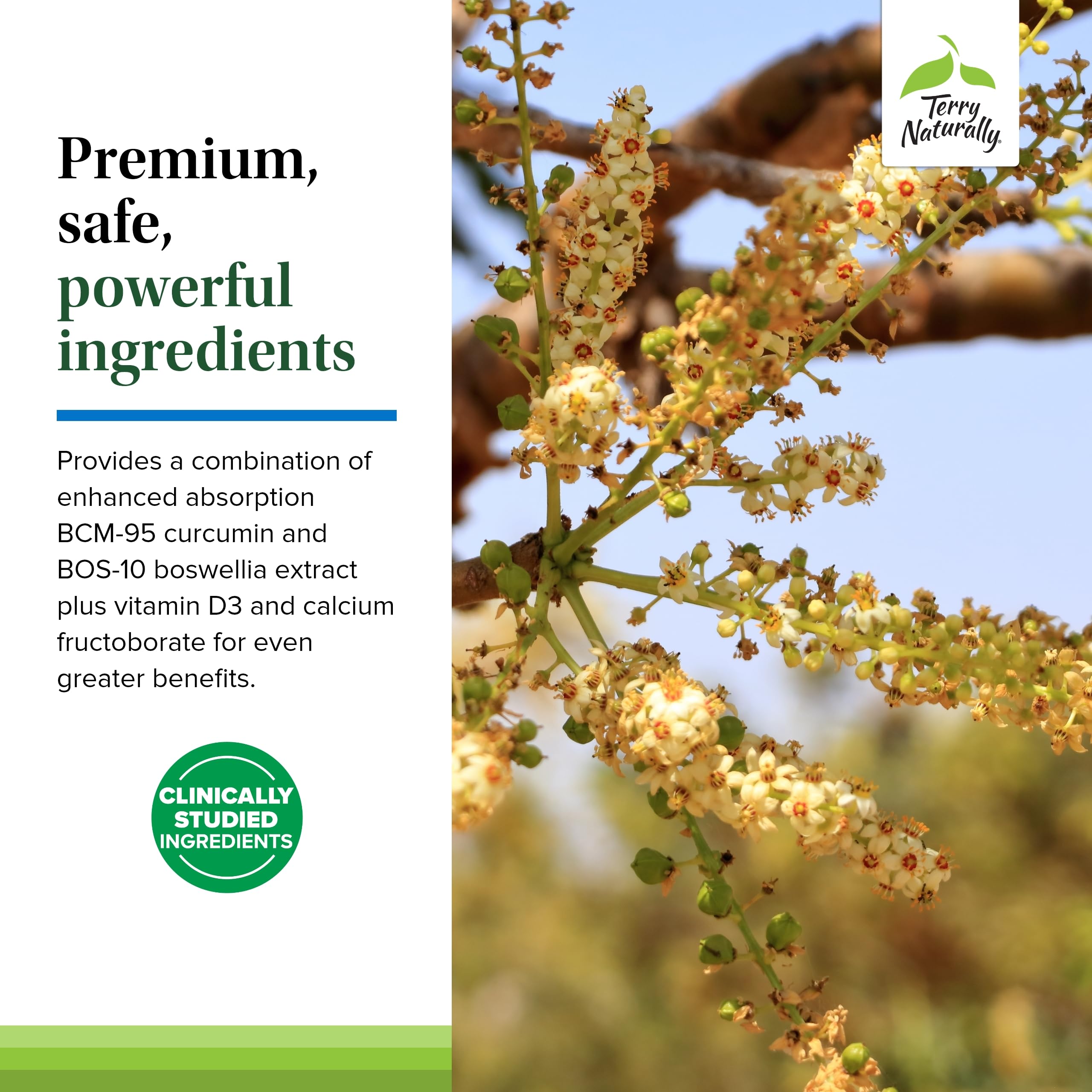 Terry Naturally label emphasizing non-GMO and third-party lab testing quality.