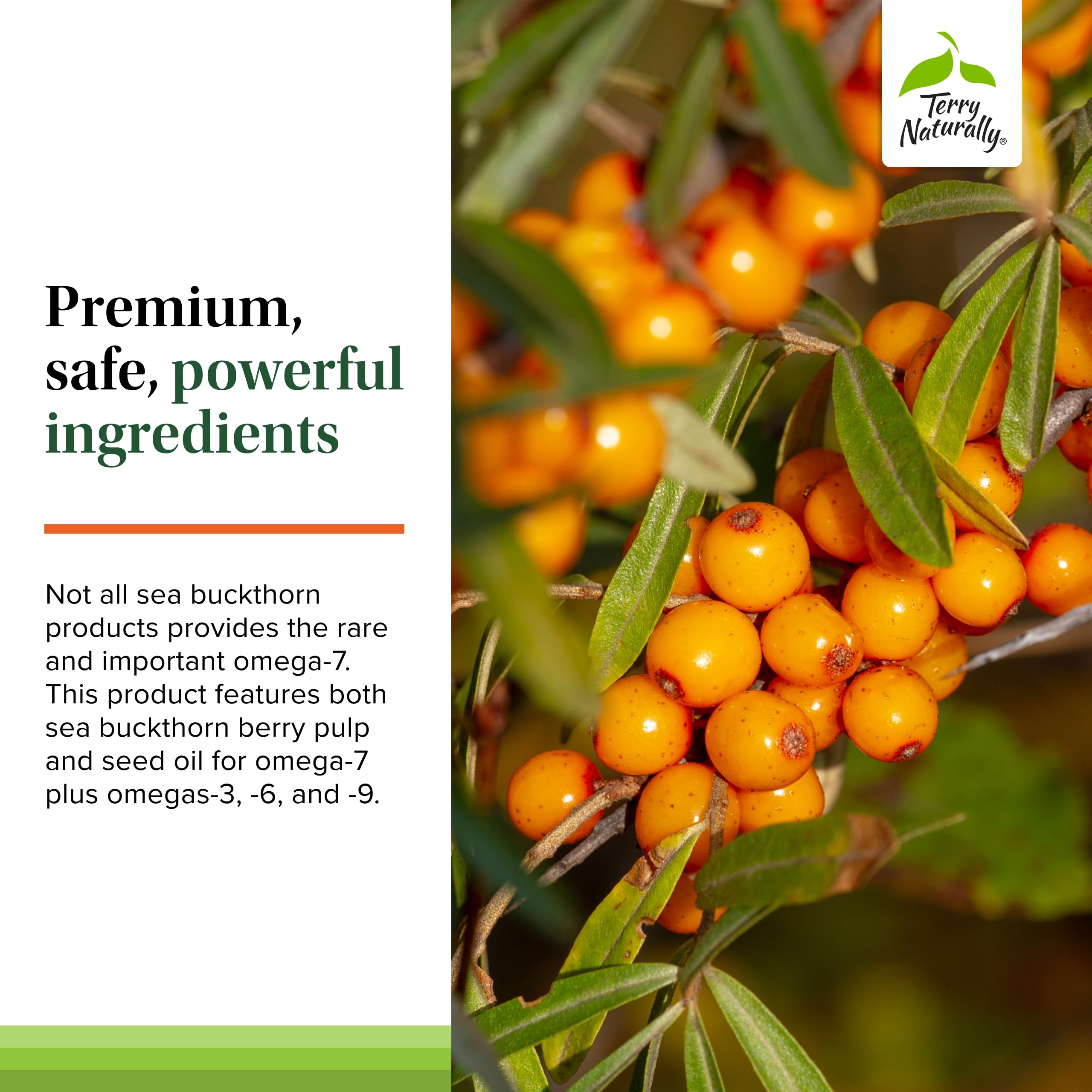 Berry pulp and seed oil visuals emphasize essential fatty acids in the blend.