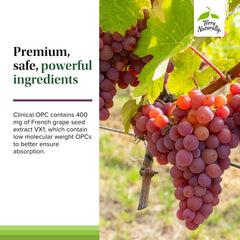Terry Naturally Clinical OPC with daily routine for focus.