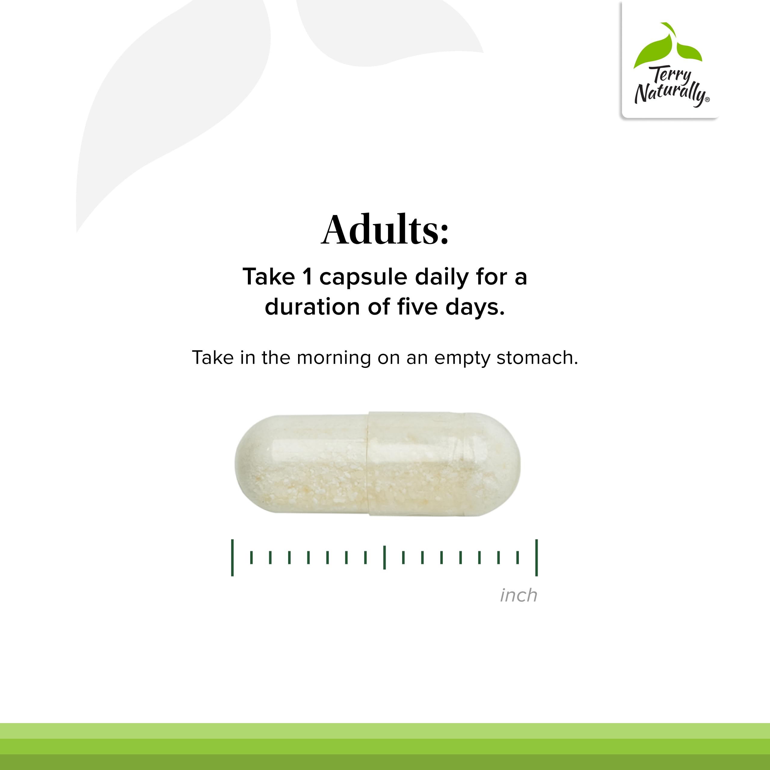 PleuraMax with vitamin C tablet foreground highlighting added antioxidant support.