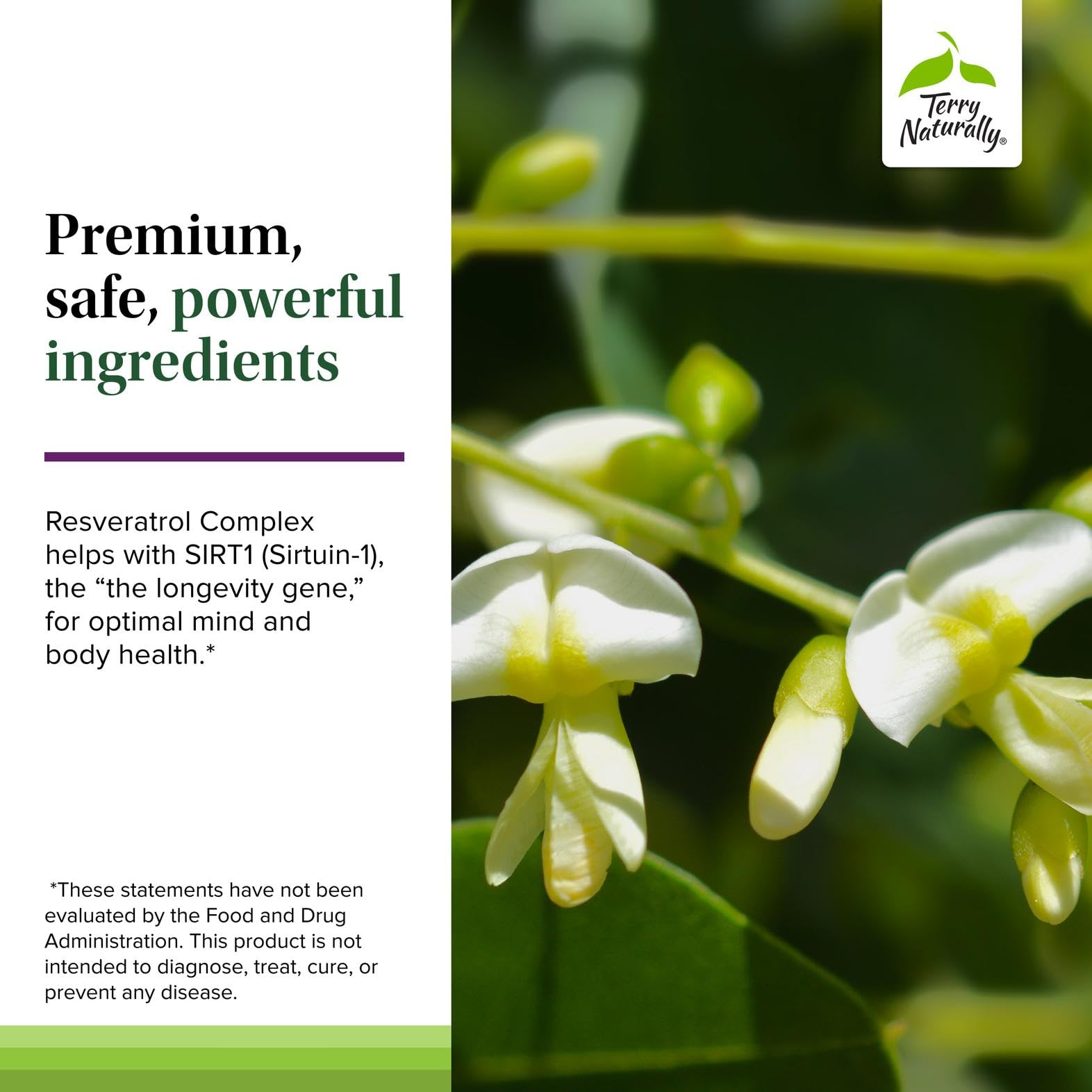 Terry Naturally Resveratrol Complex is vegan and gluten-free for inclusive wellness.