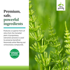 Terry Naturally Silica-20 scene for everyday hair and skin support
