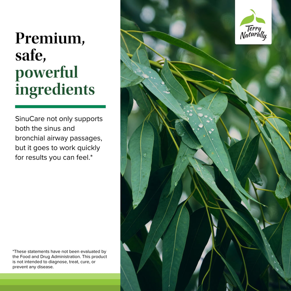Lifestyle image showing allergen-free badge for Terry Naturally SinuCare.