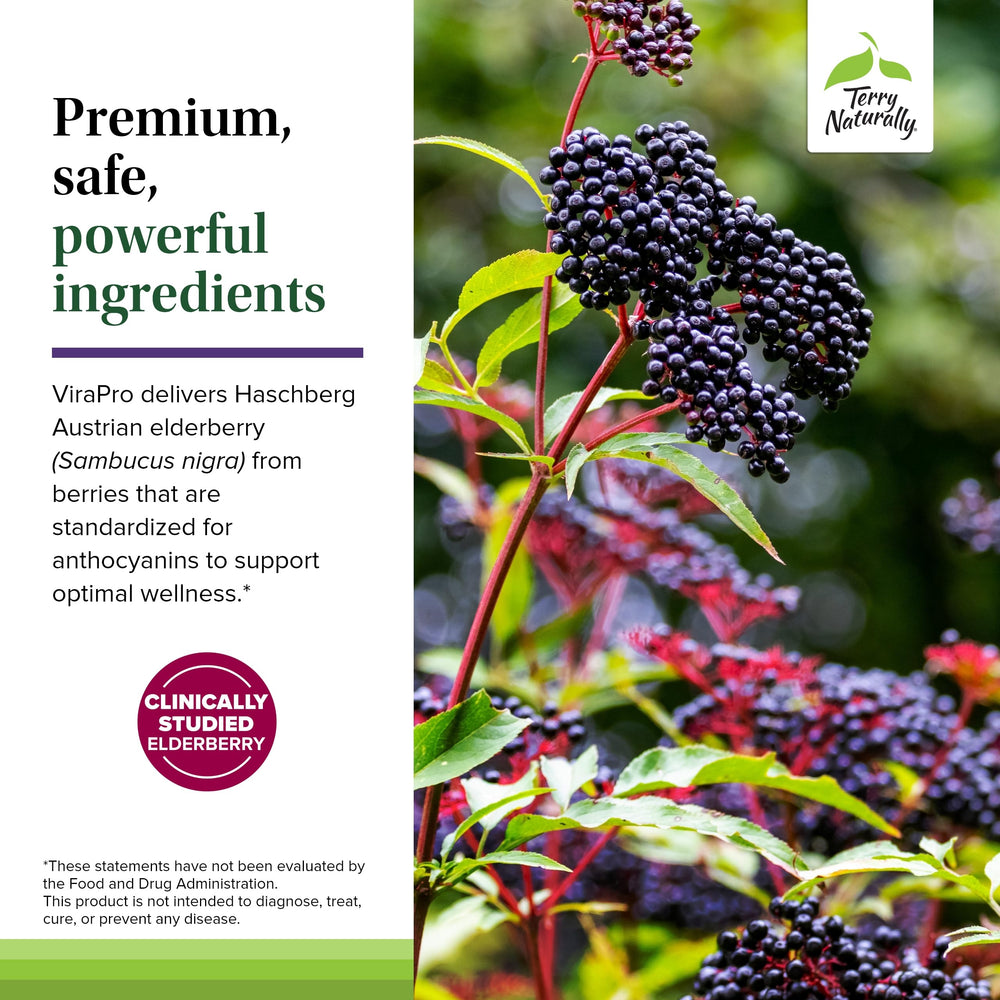 Terry Naturally ViraPro daily-dose tablet shown for easy everyday immune care.