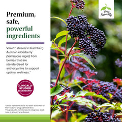 Terry Naturally ViraPro daily-dose tablet shown for easy everyday immune care.