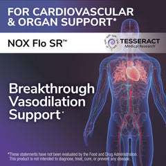 Tesseract NOX Flo SR capsules up close highlighting improved absorption potential.