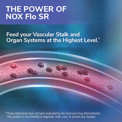 Tesseract NOX Flo SR with hesperidin and diosmin for vascular support.
