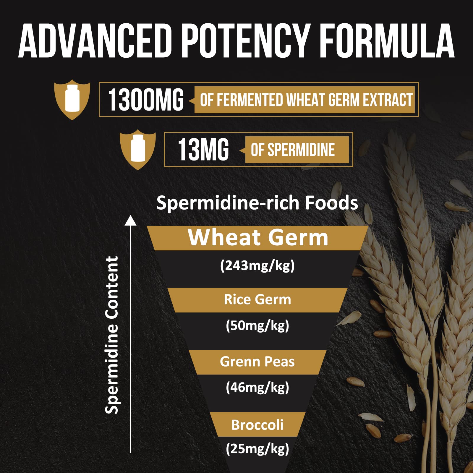 Thalacy packaging scene highlights vegan ingredients and quality control