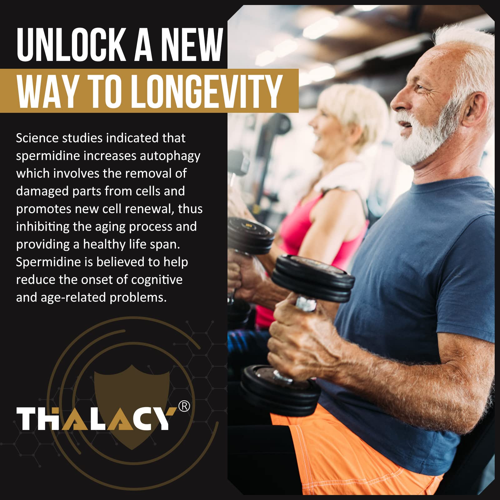 Thalacy spermidine-wheat-germ capsules on shelf imply reliable wellness support