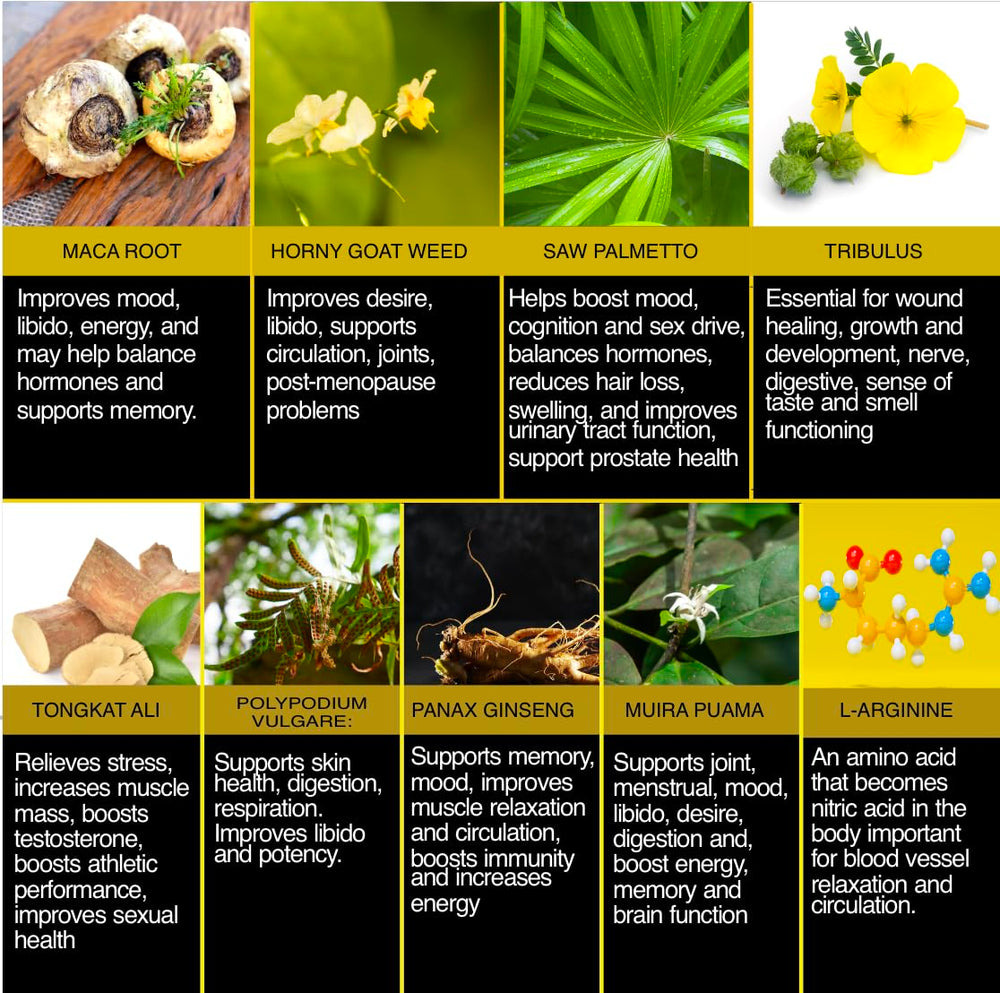 THE ENCLARE NUTRITION Panax Ginseng capsules aid mental clarity