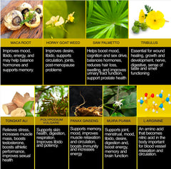 THE ENCLARE NUTRITION Panax Ginseng capsules aid mental clarity