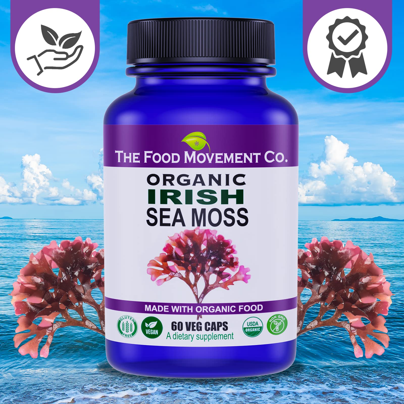 The Food Movement Co Irish Sea Moss in-use concept for daily wellness routines.