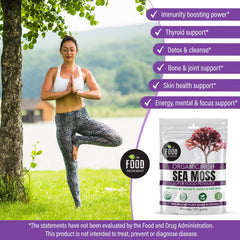 The Food Movement Co. sea moss powder jar close-up showcases premium texture ideal for smoothies.