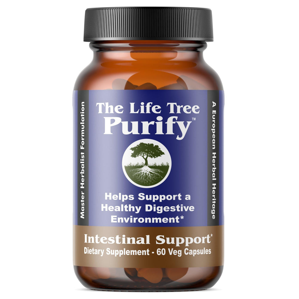 The Life Tree Purify liquid bottle highlights high-absorption delivery for a gentle cleanse.