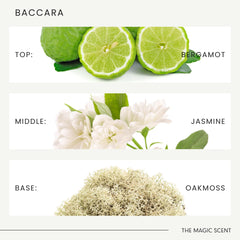 The Magic Scent Baccara diffuser oil room scene evokes elegant ambience.