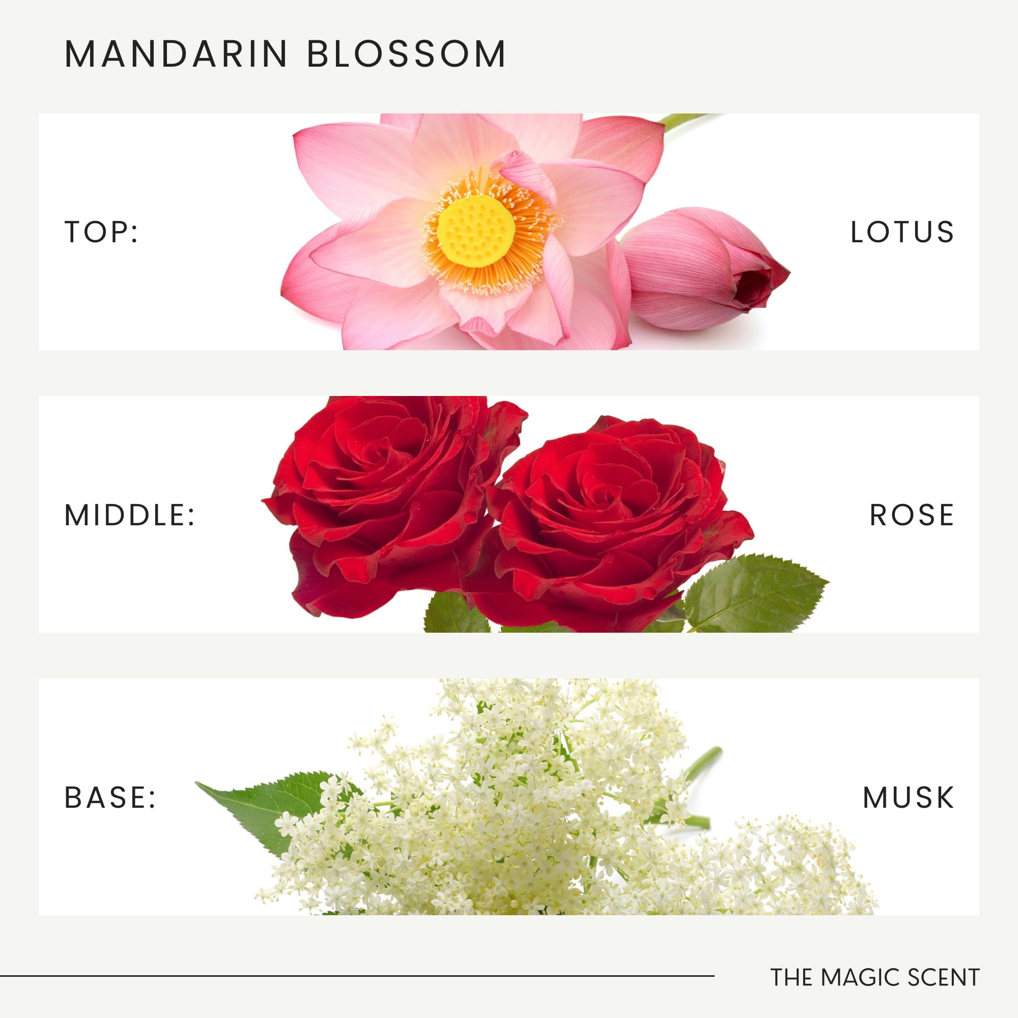 The Magic Scent Mandarin Blossom room ambience suggesting spa-like mood