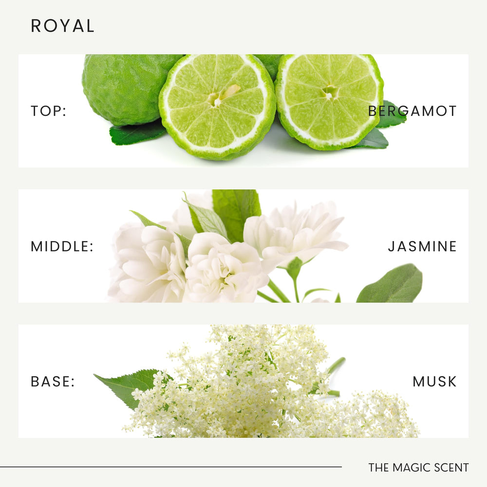 The Magic Scent Royal ocean spirit note adds airy freshness.
