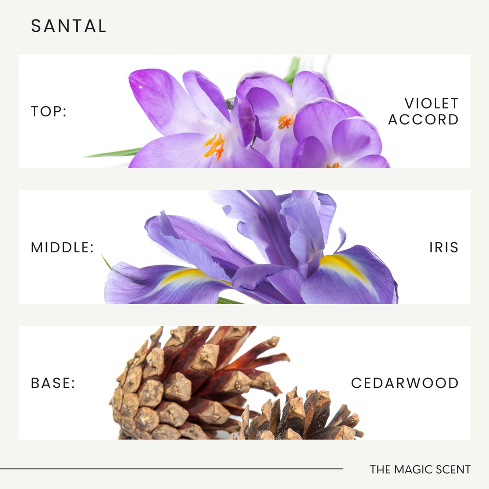 The Magic Scent Santal diffusers fill living room with warm sandalwood vibes.