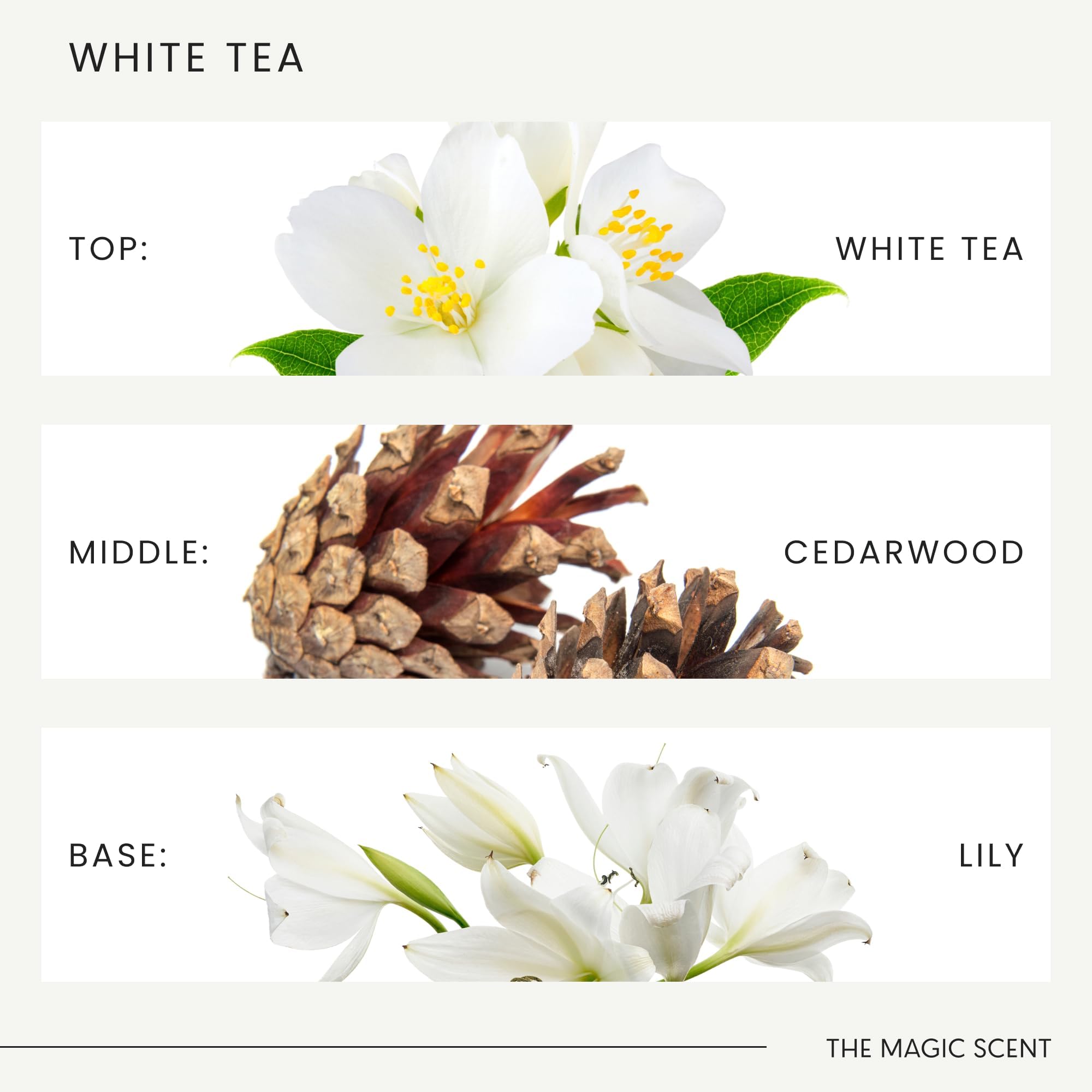 Luxury hotel vibe: The Magic Scent White Tea creates refined ambiance.