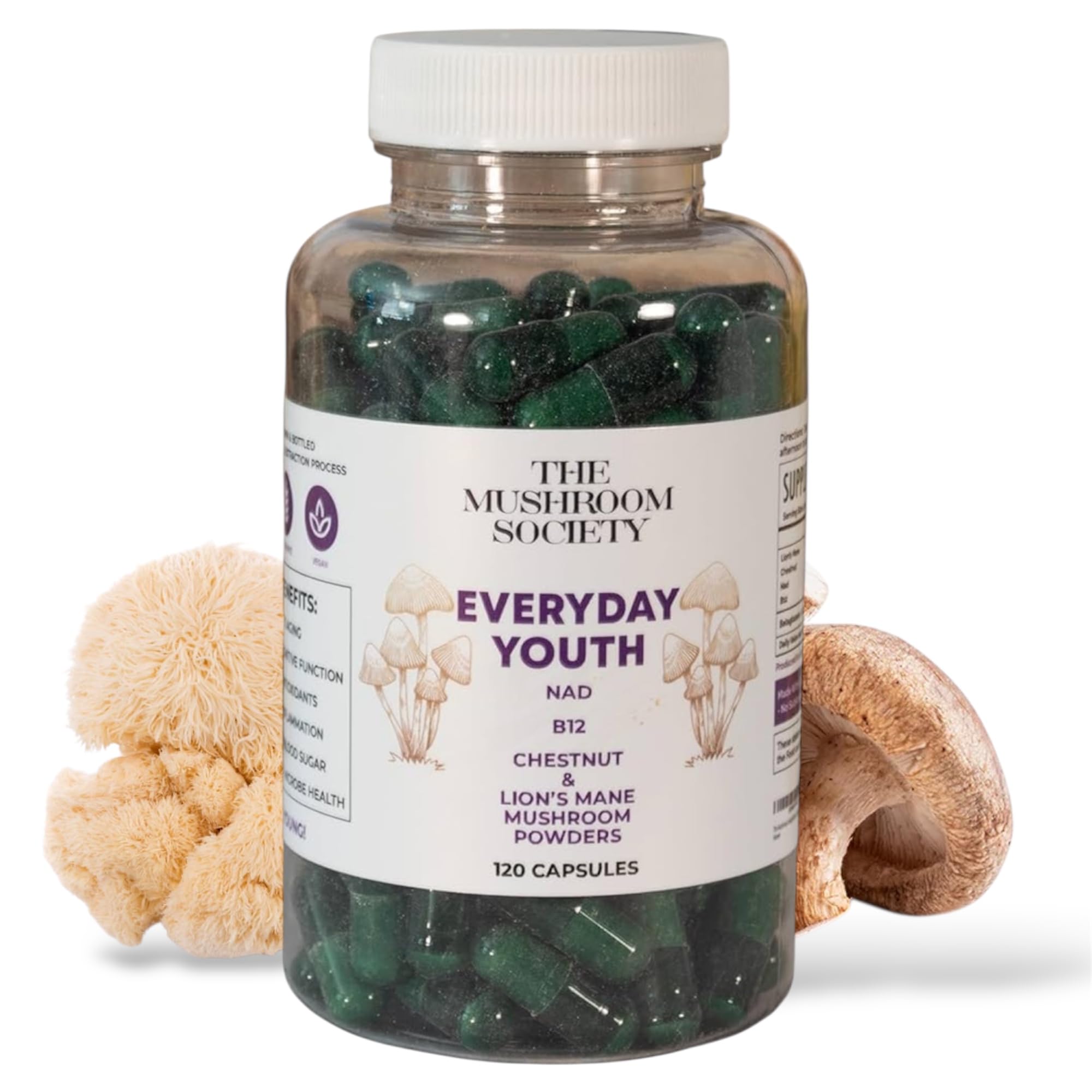 The Mushroom Society Everyday Youth bottle label signals daily energy and focus.