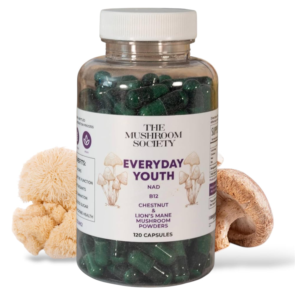 The Mushroom Society Everyday Youth bottle label signals daily energy and focus.