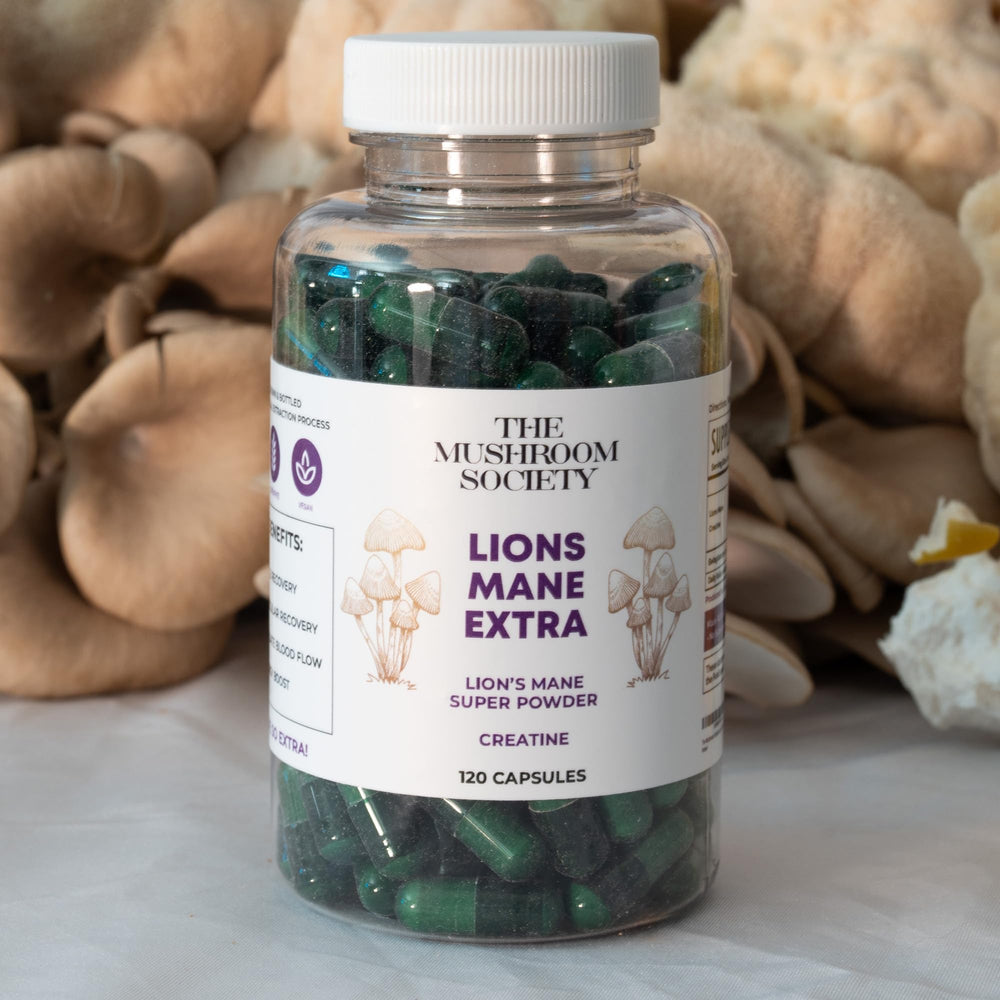 Top-view of The Mushroom Society Lion's Mane Extra bottle for on-the-go use.