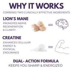 Lifestyle desk scene with The Mushroom Society Lion's Mane Extra for focused work.