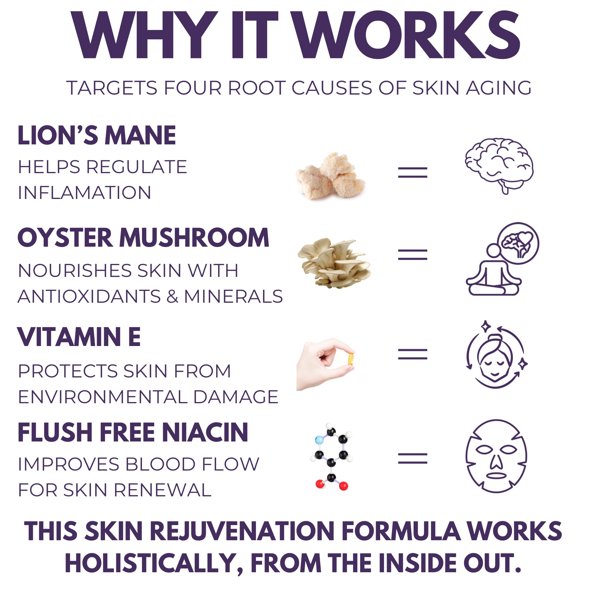 The Mushroom Society oyster mushroom extract bottle showcasing immune-supporting nutrients.