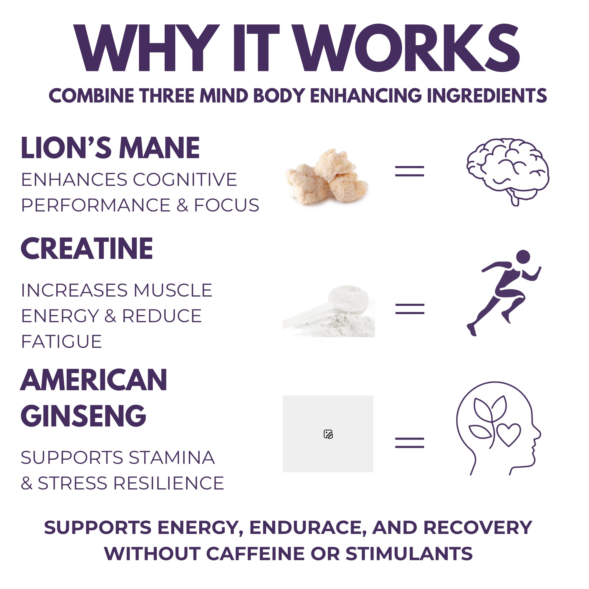 The Mushroom Society pre-workout hero shot conveys steady endurance during workouts.