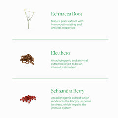 Echinacea and adaptogen blend shown on label for natural immune support.