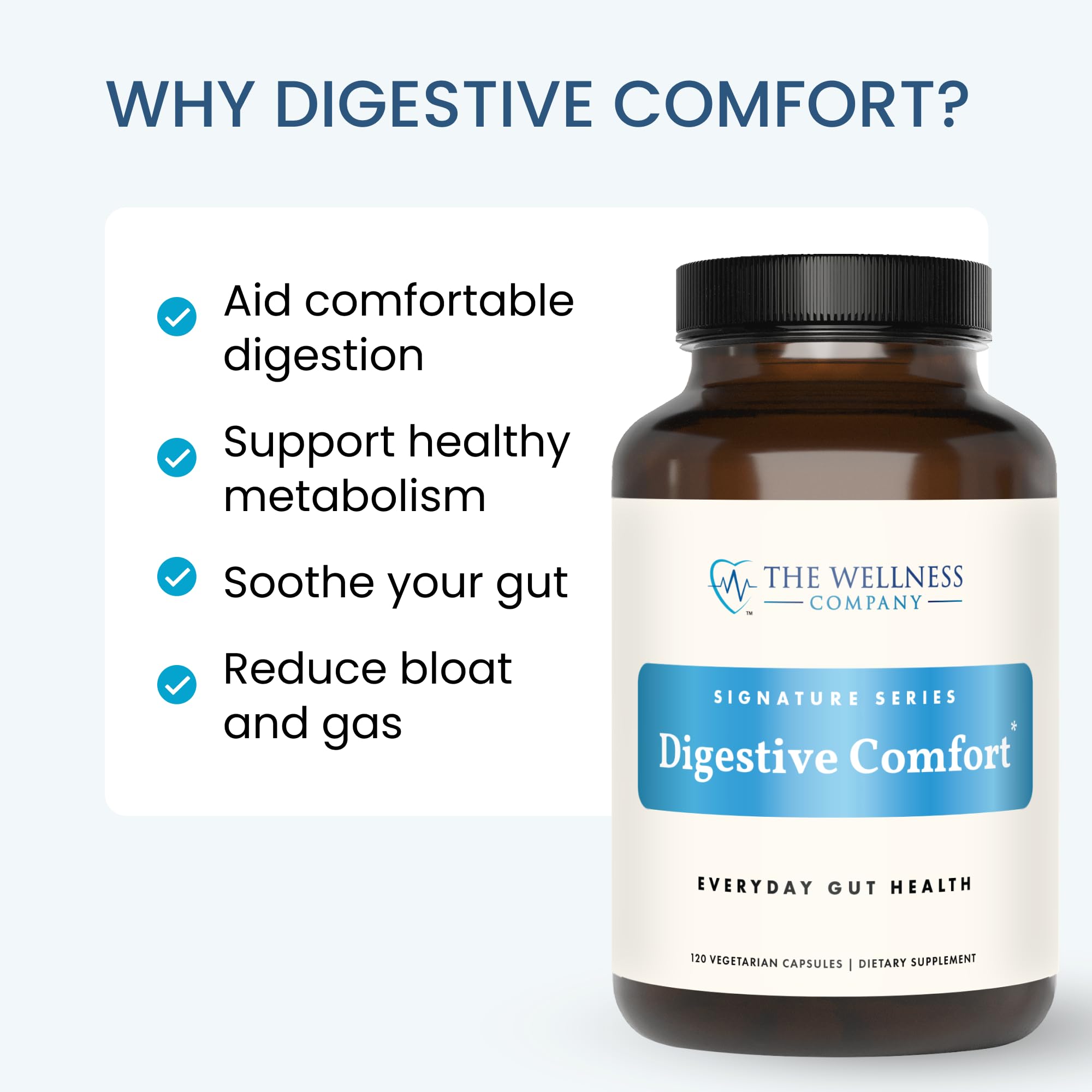 The Wellness Company visual of gut health concept for comfortable digestion.