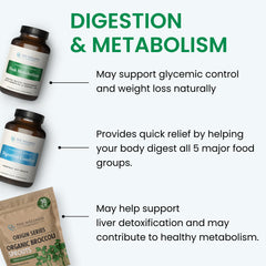 The Wellness Company third-party tested seal for purity and efficacy.