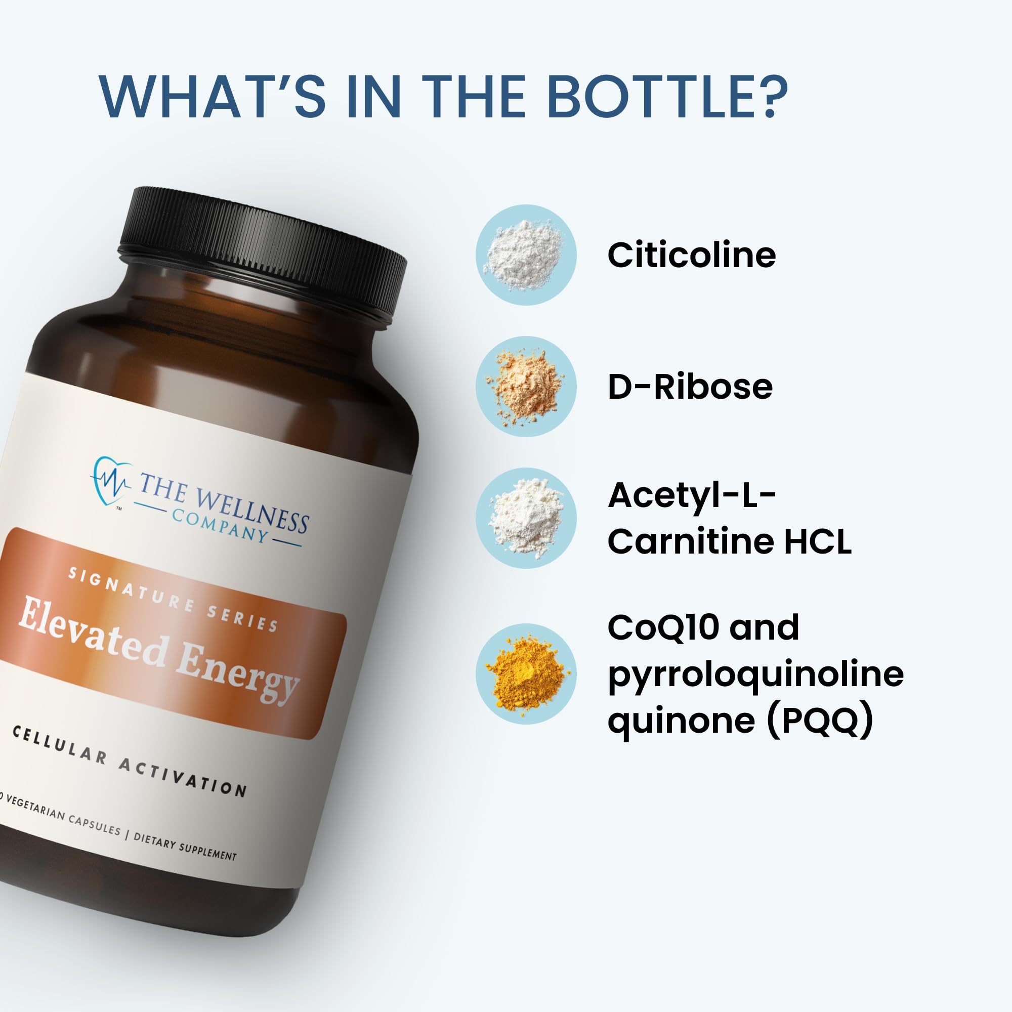 The Wellness Company Elevated Energy capsules in hand illustrate easy two-capsule daily use
