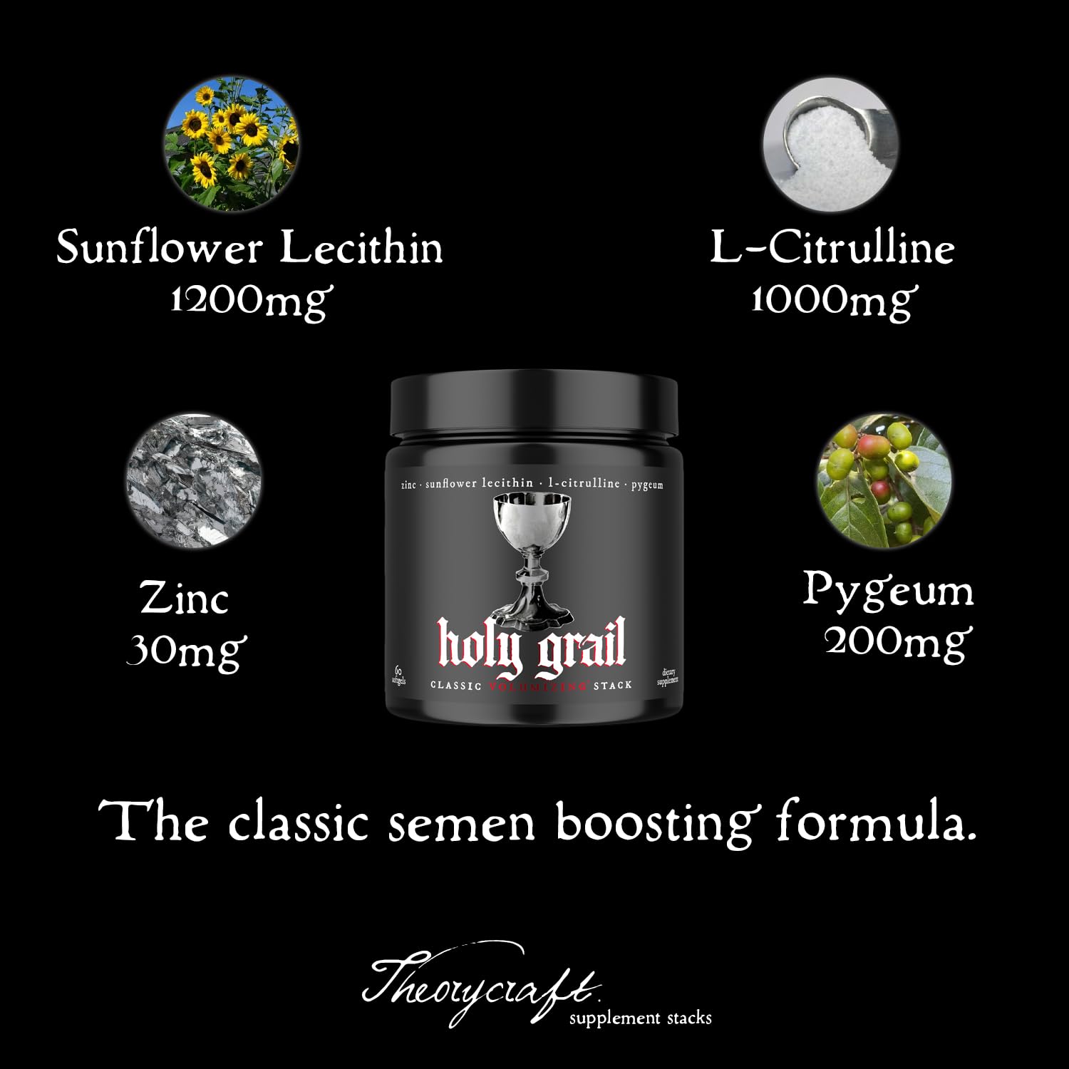 Theorycraft Holy Grail sunflower lecithin highlights phospholipid-rich profile