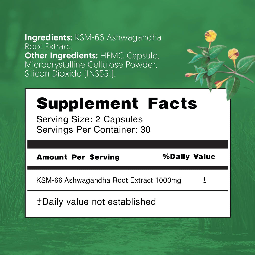 Therapeia Zoi capsules shown in a lifestyle setup for mood stability.