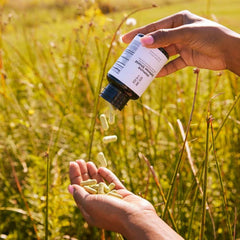 TheRootBrands Root Wellness Immune daily-dose setup illustrates a simple daily routine.